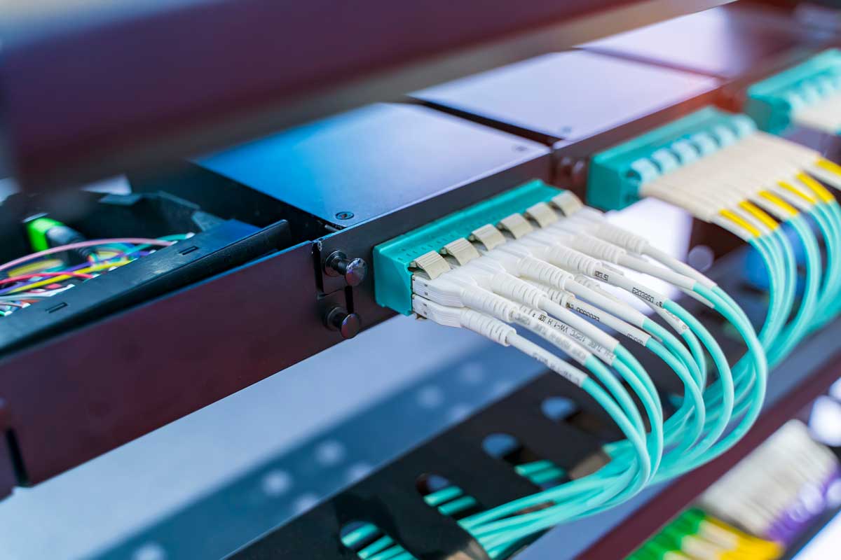 Cavi in fibra ottica collegati a patch panel professionale, soluzione di cablaggio strutturato ad alte prestazioni.